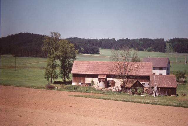 the farm in summer